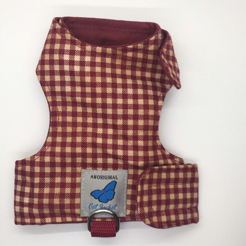 butterfly cat jackets