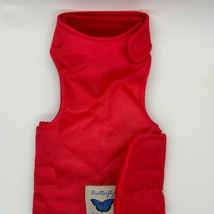 Escape proof "Butterfly Cat Jackets" Red padded/waterproof walking harness, jacket, holster, vest