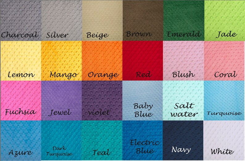 Premier Dandelion Cuddle TealSnow Double Minky Personalized Minky Baby Blanket Baby Girl or Baby Boy- Custom Made