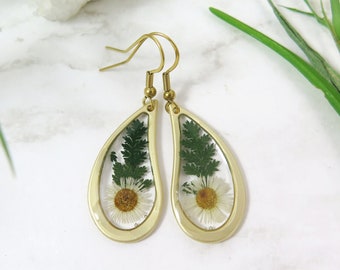 Dried flowers resin earrings - Daisy flower and fern earrings - 18K gold plated hooks