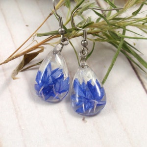 Blue Cornflower dangle pressed flower earrings Real flower resin earrings gift image 1