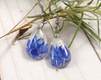 Blue Cornflower dangle pressed flower earrings - Real flower resin earrings gift