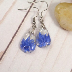 Blue Cornflower dangle pressed flower earrings Real flower resin earrings gift image 5