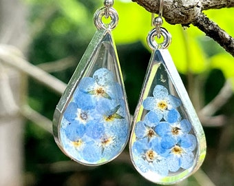 Forget me not earrings dried flowers teardrop floral earrings