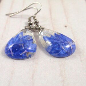 Blue Cornflower dangle pressed flower earrings Real flower resin earrings gift image 2