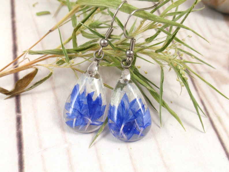 Blue Cornflower dangle pressed flower earrings Real flower resin earrings gift image 4