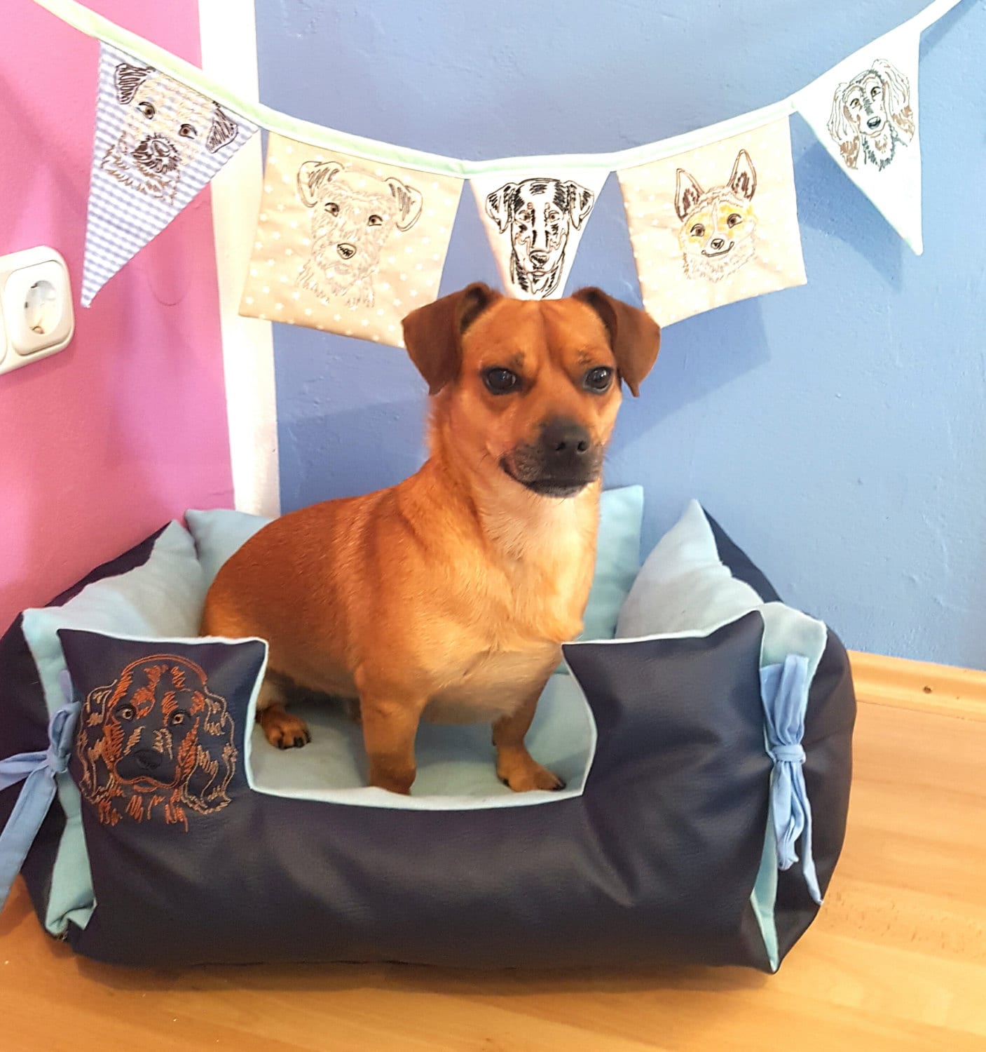 Hundeausstellungsrosetten 10 X 1. Bis 5. Einzelpfoten Plus BIS & RBIS 3
