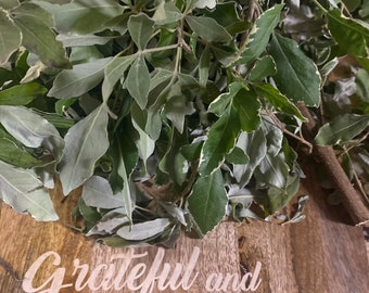 Vence Batalla - Battle Winner Dried-Preserve  Cuttings -Win Battle Herbs-Spiritual Cleansing Leaf