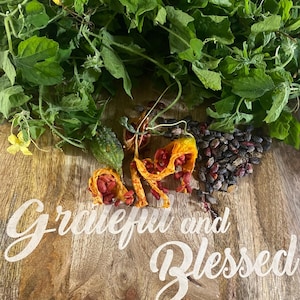 May include: A wooden board with the words "Grateful and Blessed" written in white cursive. The board is covered in green leaves, red and orange fruit, and dark brown seeds.