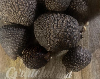 Air Potato -Ñame Volador -Ewe Eybesi Nauclea Latifolia Spiritual Offering for Prosperity