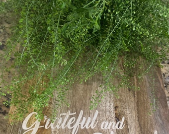 Mastuerzo - Cress -Attract Fortunes Learning Aid  -Sabe Leccion Spiritual Cleansing Herbs, Fresh - Dried Cuttings