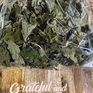 Boton De Oro Herb - Indian Mallow Herb, Money Attraction Herbs Spiritual Cleansing Herbs, Dry Preserve Cuttings,Spiritual Leaf