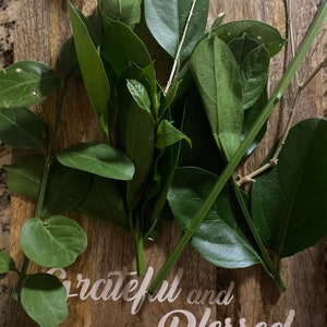 May include: A wooden cutting board with green leaves and the text "Grateful and Blessed" written in white.
