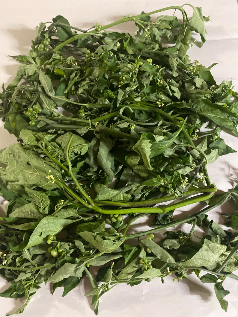 May include: A pile of fresh green leafy plants with small, round, green berries. The leaves are a deep green color, and the stems are a lighter green. The berries are clustered together. The plants are on a white surface.