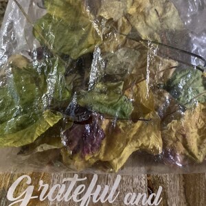 Op de afbeelding: Een plastic zak gevuld met gedroogde bladeren in verschillende tinten groen, geel en bruin. De zak ligt op een houten oppervlak met de woorden "Grateful and Blessed" in wit.