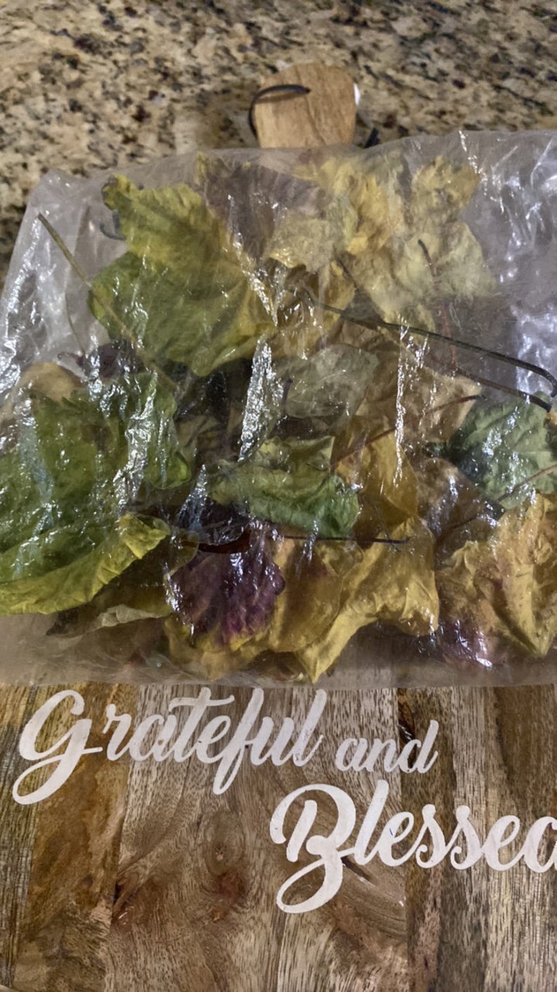 Op de afbeelding: Een plastic zak gevuld met gedroogde bladeren in verschillende tinten groen, geel en bruin. De zak ligt op een houten oppervlak met de woorden "Grateful and Blessed" in wit.