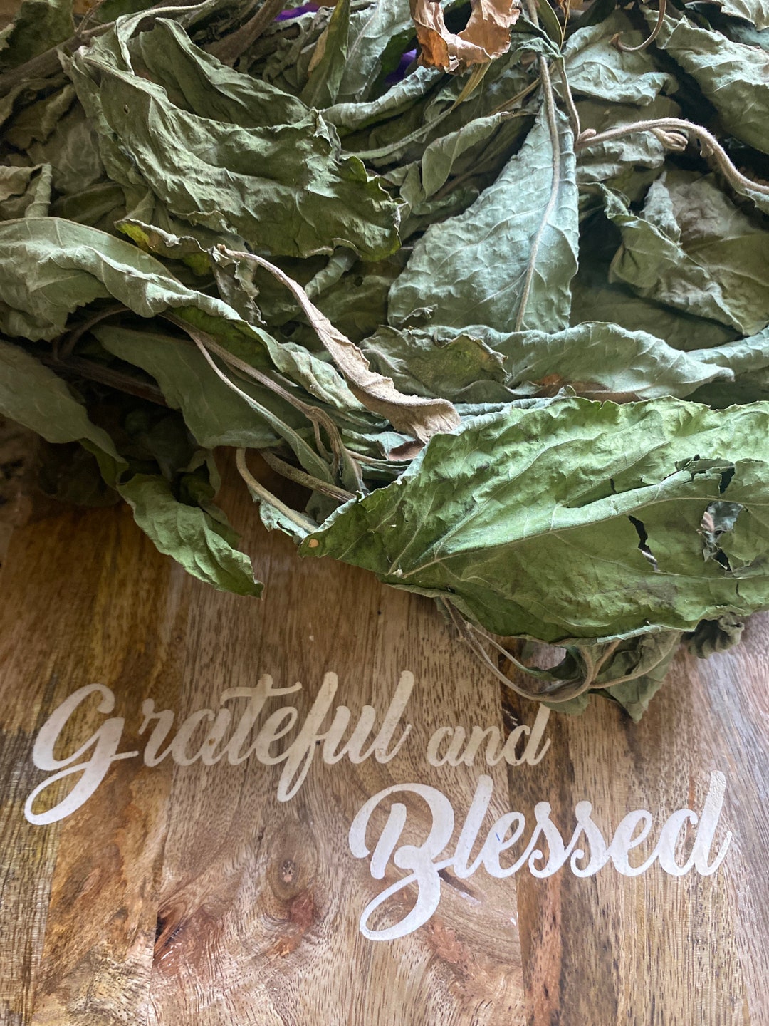 Salvia Sage Spiritual Cleansing Herb Cut Dried & Preserved Etsy