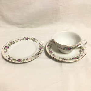 Creative Fine China 2345 Japan Regency Rose Tea Cup and Saucer | Pink and White Floral Tea Cup and Saucer