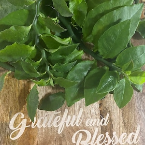 May include: A close-up of green leaves on a wooden surface with the text "Grateful and Blessed" written in white.