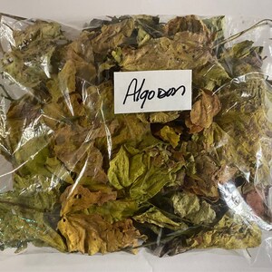 Op de afbeelding: Een doorzichtige plastic zak gevuld met gedroogde, bruine en groene bladeren. Een wit label met de tekst "Algo Don" is aan de zak bevestigd.