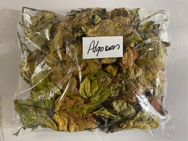 Op de afbeelding: Een doorzichtige plastic zak gevuld met gedroogde, bruine en groene bladeren. Een wit label met de tekst "Algo Don" is aan de zak bevestigd.