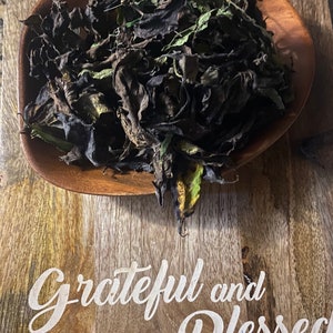 Alacráncillo / Rabo De Alacrán - Dry -Preserve  Protection - Defense Cleansing Herb