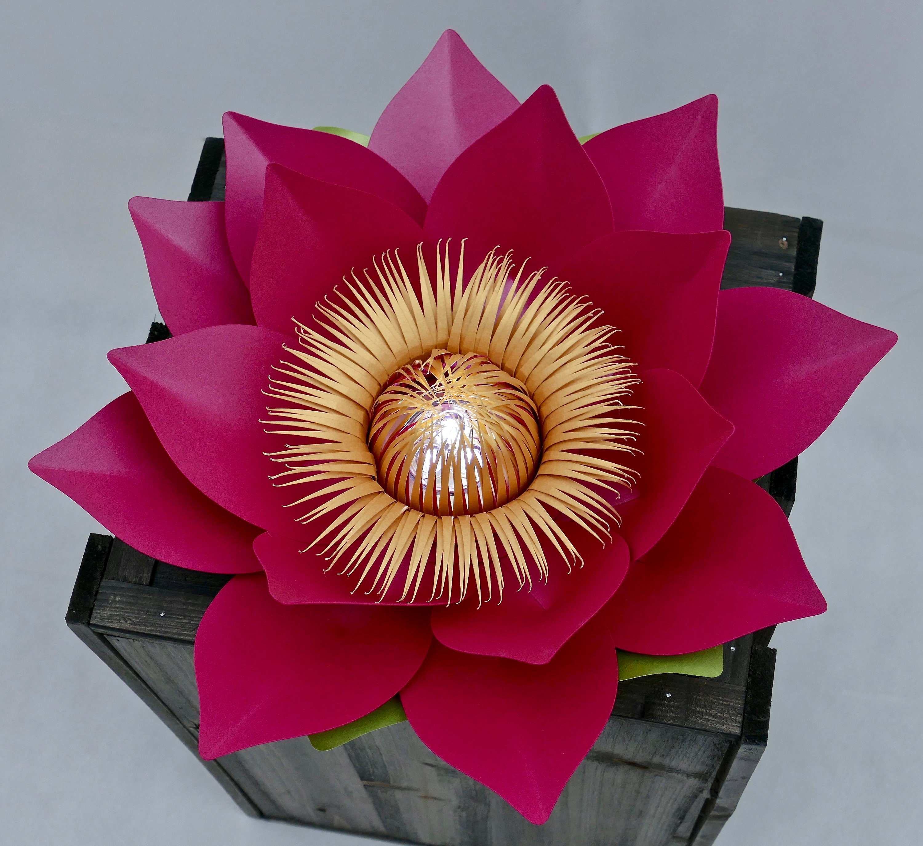 3D SVG PDF Template Lotus Flower Digital SVG Template For Cutting