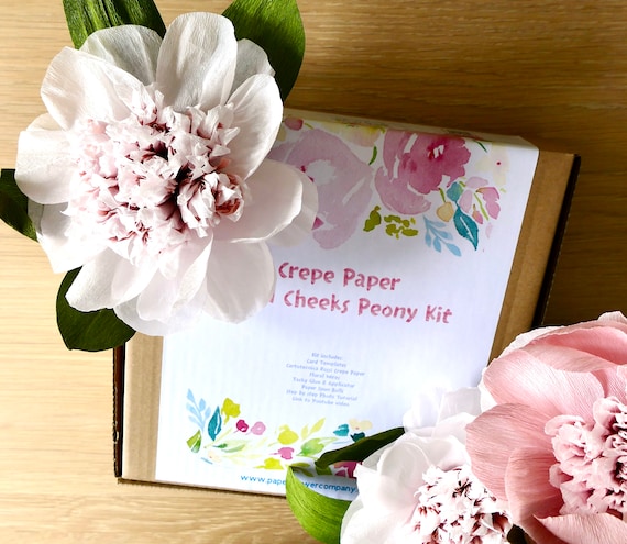 Crepe Paper Angel Cheeks Peony Kit - A great present for someone to who loves to craft