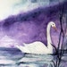 Nancy Soter