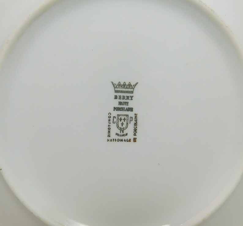 Vintage Berry Haute France Plate CNP Sage Plate Her Garden Spice Organic Image Kitchen Decor Dish Compagnie Nationale de Porcelaine Limoges