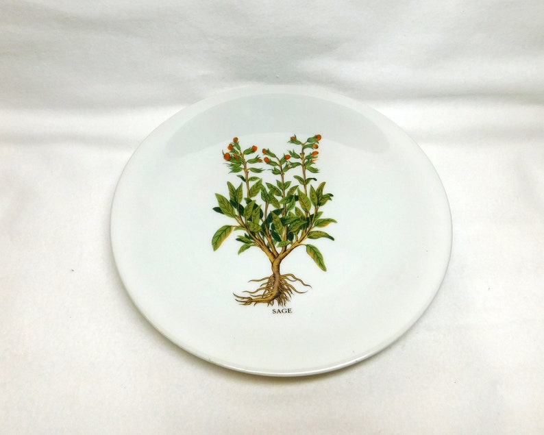 Vintage Berry Haute France Plate CNP Sage Plate Her Garden Spice Organic Image Kitchen Decor Dish Compagnie Nationale de Porcelaine Limoges