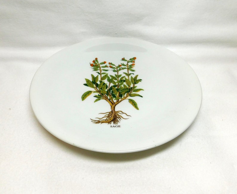 Vintage Berry Haute France Plate CNP Sage Plate Her Garden Spice Organic Image Kitchen Decor Dish Compagnie Nationale de Porcelaine Limoges