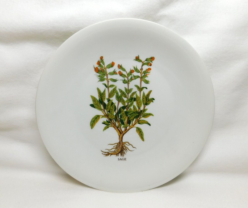 Vintage Berry Haute France Plate CNP Sage Plate Her Garden Spice Organic Image Kitchen Decor Dish Compagnie Nationale de Porcelaine Limoges