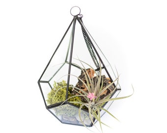 DIY Glass Diamond Terrarium - Add Tillandsia Air Plants and River Rock Kit - FREE SHIPPING - Air Plant Holder