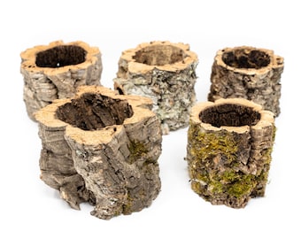 12 Wholesale Natural Cork Bark Planters for Tillandsia Air Plants - Fast FREE Shipping - 30 Day Guarantee