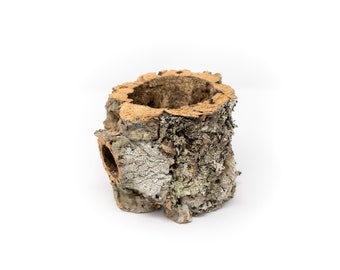 Natural Cork Bark Planters for Tillandsia Air Plants and Vivariums - Fast FREE Shipping - 30 Day Guarantee