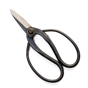 May include: Black metal pruning shears with a silver blade. The shears have a curved handle and a small gold rivet.