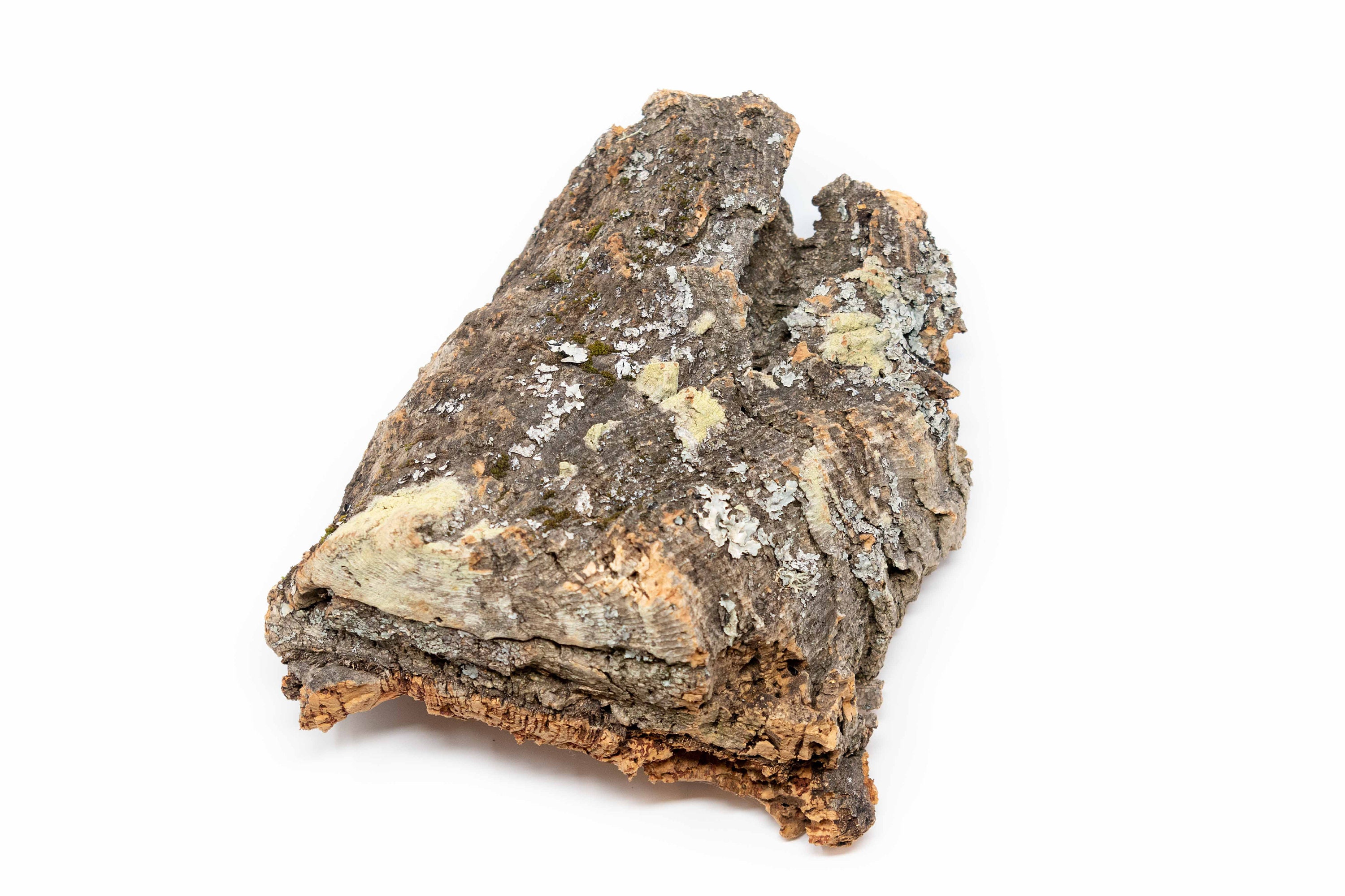 24 Lbs Virgin Cork Bark Slabs for Tillandsia & Bromeliads Etsy