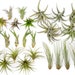 see more listings in the Bulk Air Plants section