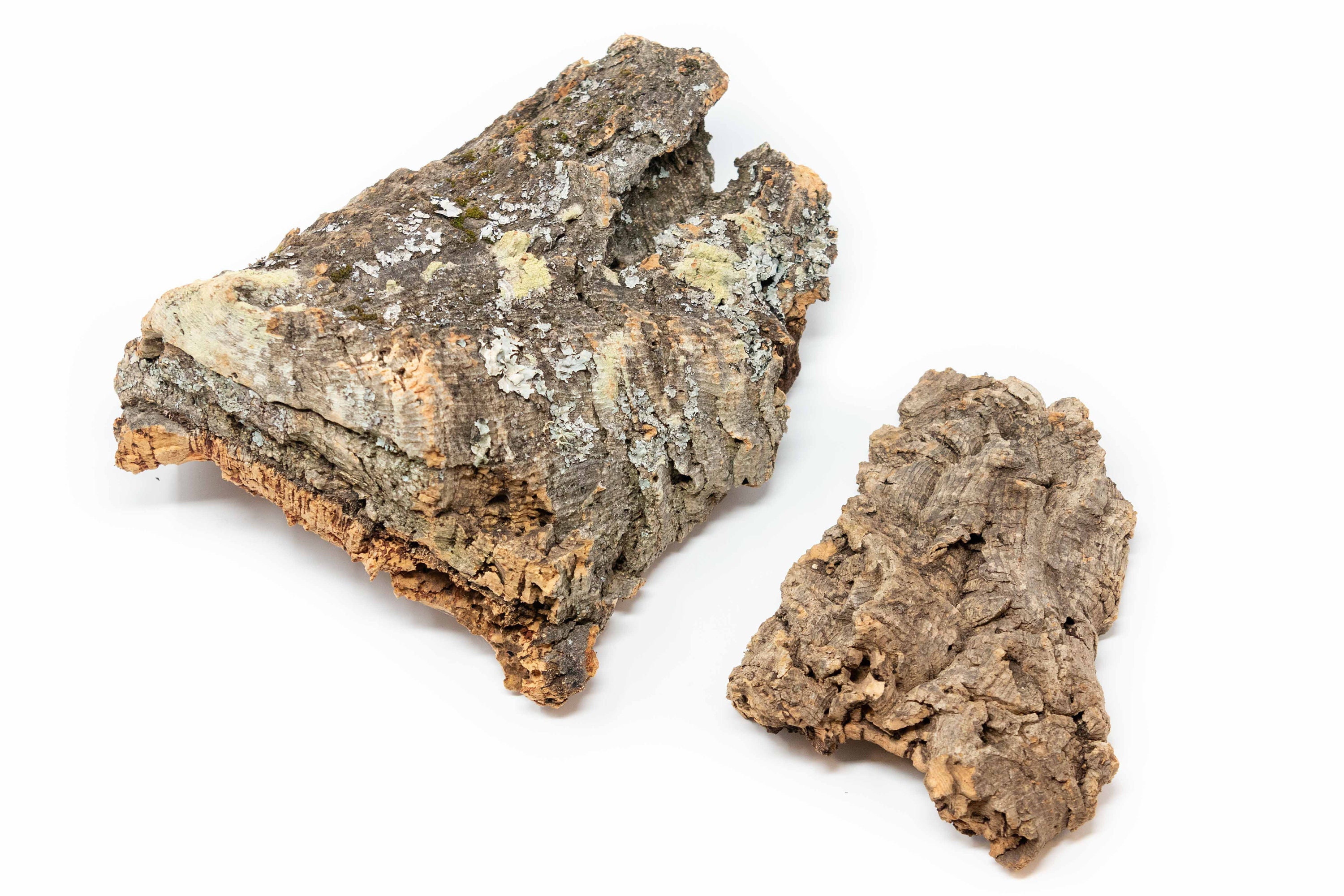 24 Lbs Virgin Cork Bark Slabs for Tillandsia & Bromeliads Etsy