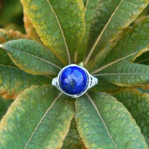 Lapis Lazuli 10mm Wire Wrapped Ring image 1