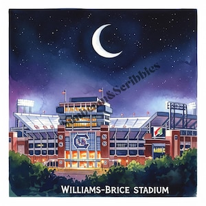 Carolina Football Williams Brice Stadium Watercolor Digital Art Printable