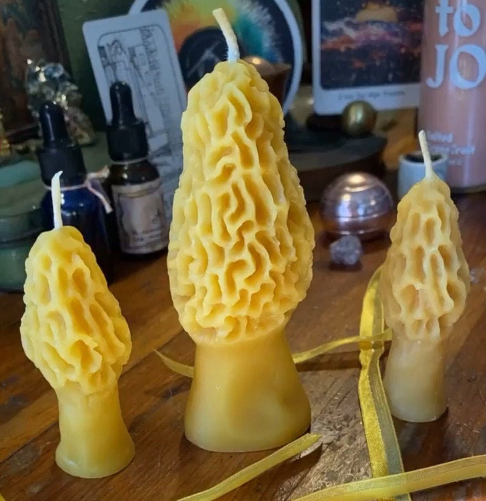 Morel Mushroom Candle Pillars 100 Pure Beeswax Etsy