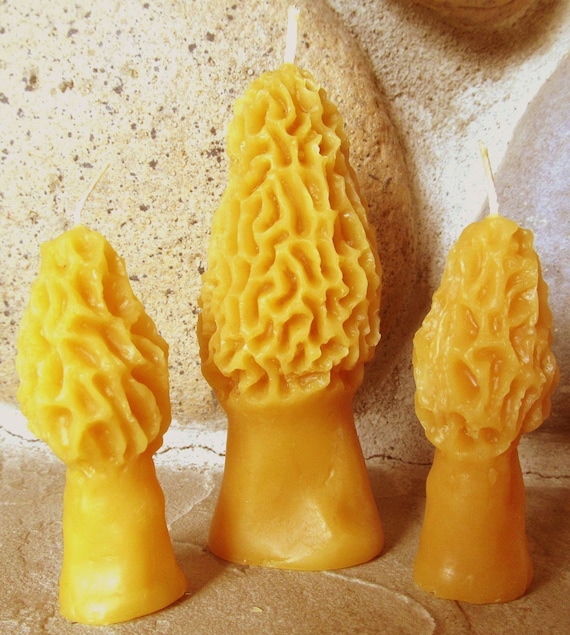 Morel Mushroom Candle Pillars 100 Pure Beeswax Etsy