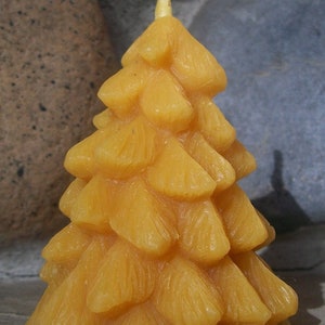 Fir Tree Candle ~100% pure beeswax