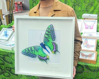 Giant Blue Butterfly Framed Wall Art | Recycled Sculpture