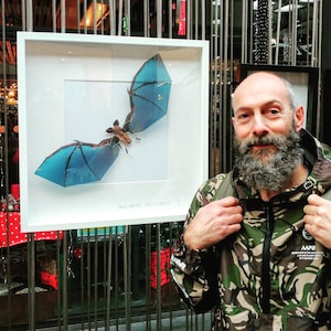 Framed Recycled Circuit Board Bat Art, Gothic Tech Decor