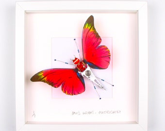 Red Butterfly Framed Wall Art | Recycled Sculpture