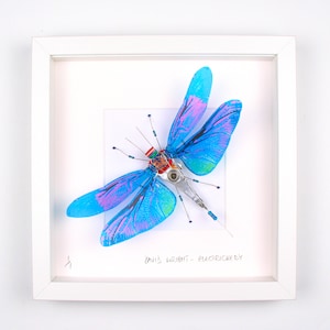May include: A framed artwork featuring a blue and pink dragonfly made from recycled electronic components. The dragonfly is mounted on a white background with the artist's signature "David Wright - Electrickery" in black ink.
