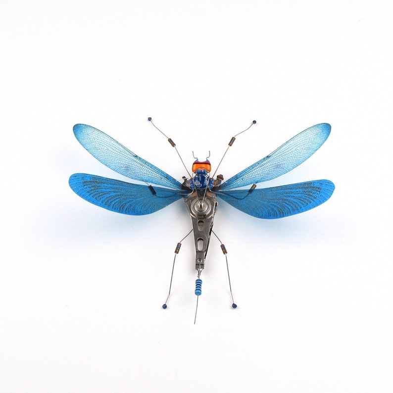 Damselfly Framed Wall Art, Recycled Sculpture, Choice of Colours, Made By Electrickery image 7